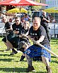 2. Halleiner Highland Games am 07.09.2024 - Highlandgames 2024